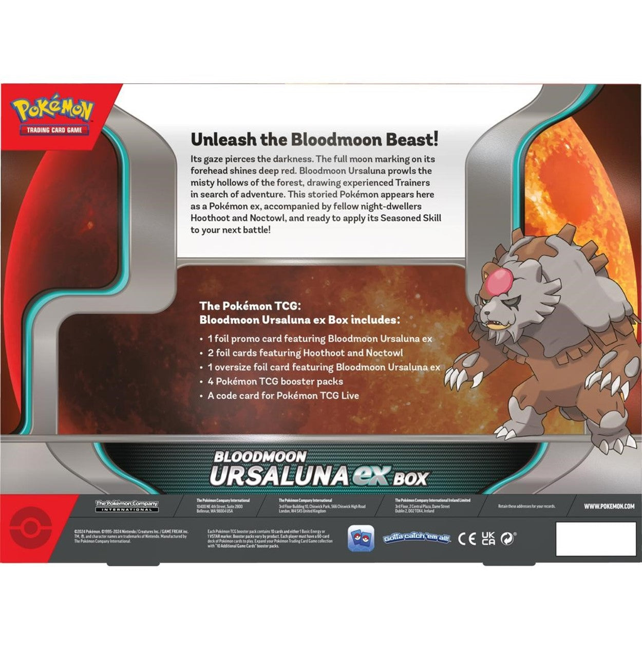 Pokémon Cards - Bloodmoon Ursaluna Ex Box
