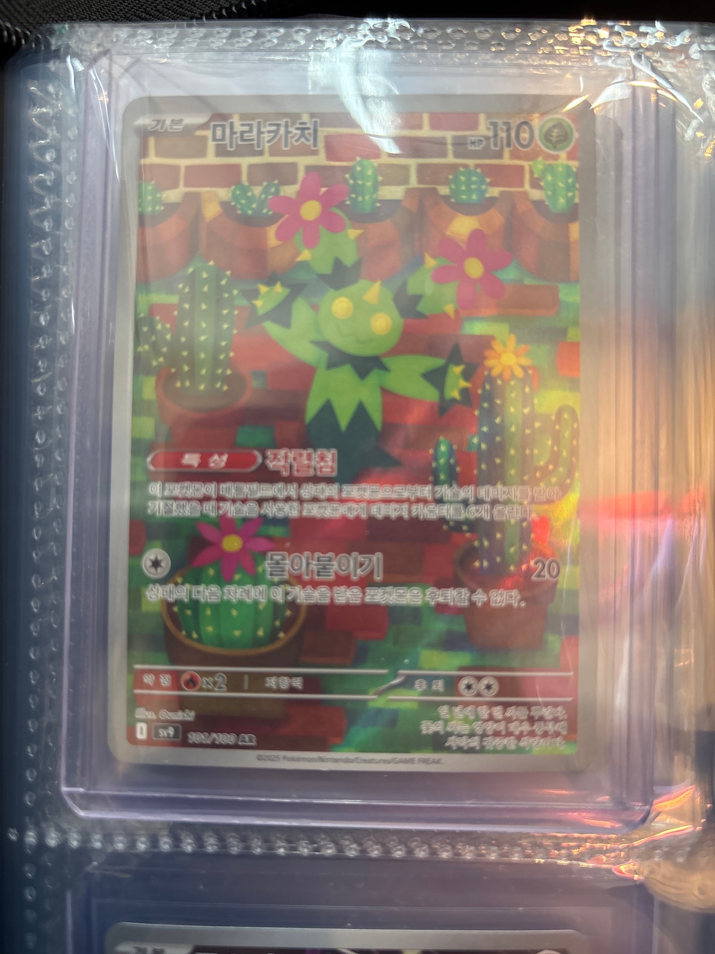 Korean Singles - 101/100 - Maractus